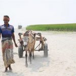 pexels-photo-34948970