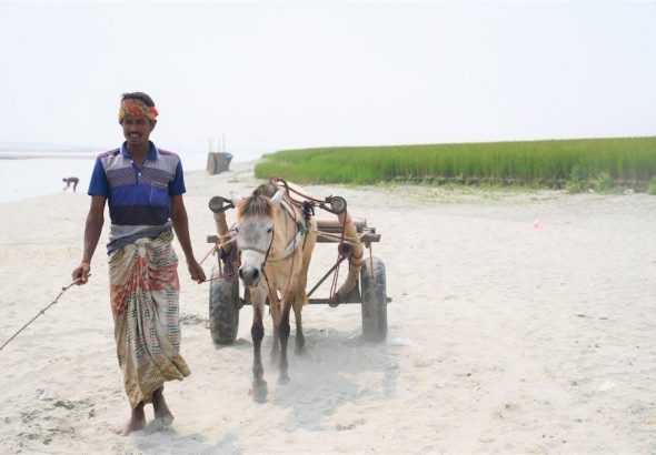 pexels-photo-34948970