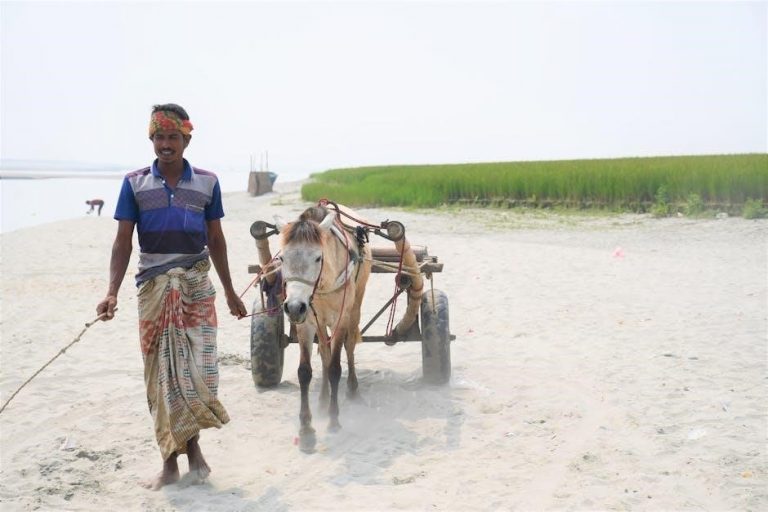 pexels-photo-34948970