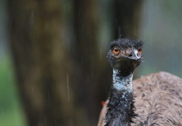 pexels-photo-11317297