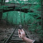 pexels-photo-16859558