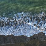 pexels-photo-35511197