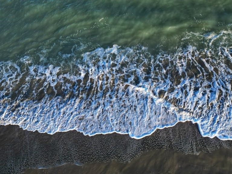 pexels-photo-35511197