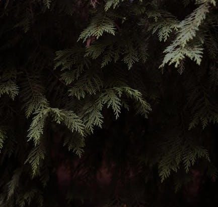 pexels-photo-36039041